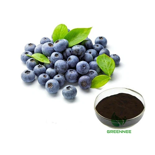 Europa Bilberry Extract antocianinas 1–36% 25%