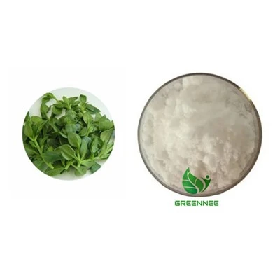 Andrographis Paniculata Extracto Andrographolide 5% 10% 20% 30% 50% 98% 99%