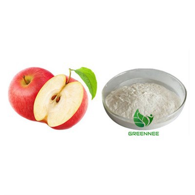 Vinagre de manzana en polvo de 6% de ácido titulable