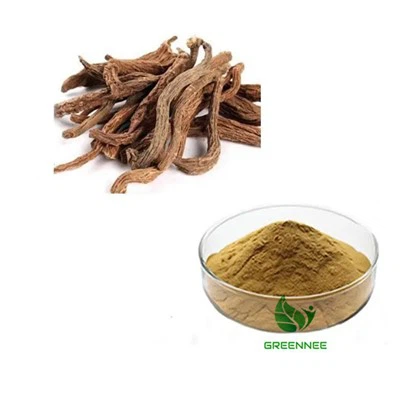 Extracto de raíz de cardo del Himalaya 10:1 a 200:1