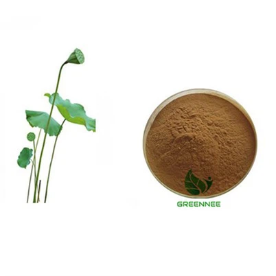 Flavonas de extracto de hoja de loto 5%