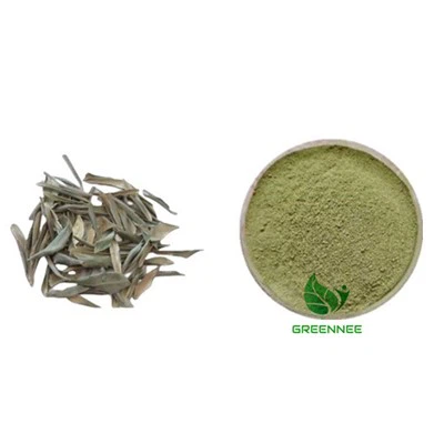 Polvo de hoja de oliva